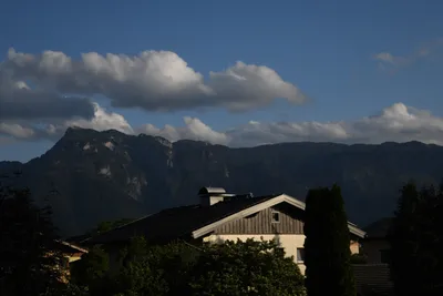 DSC_6051 (Large).JPG